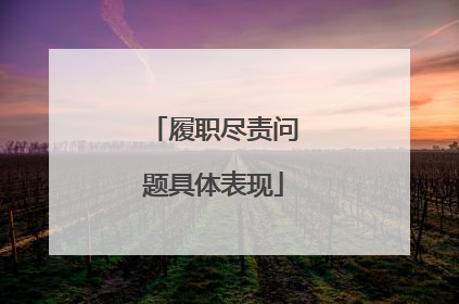 履职尽责问题具体表现