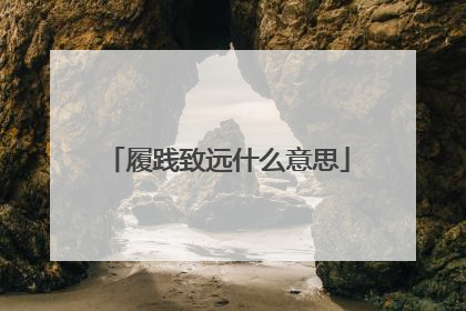 履践致远什么意思