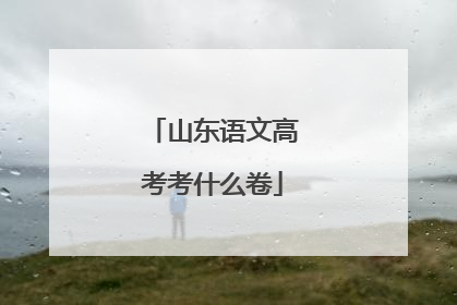 山东语文高考考什么卷