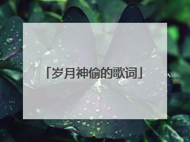 岁月神偷的歌词