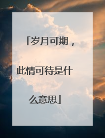 岁月可期，此情可待是什么意思