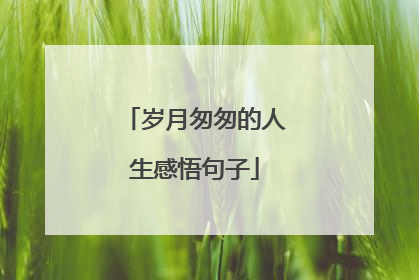 岁月匆匆的人生感悟句子