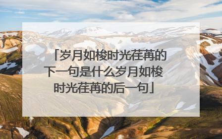 岁月如梭时光荏苒的下一句是什么岁月如梭时光荏苒的后一句