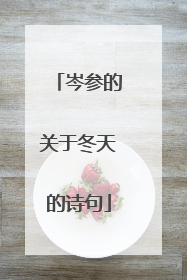 岑参的关于冬天的诗句