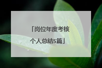 岗位年度考核个人总结5篇