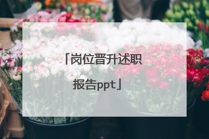 岗位晋升述职报告ppt