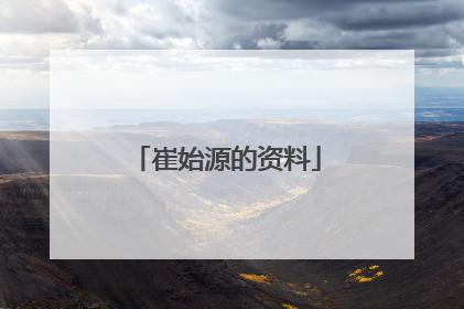 崔始源的资料