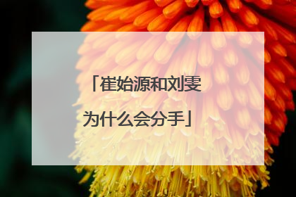 崔始源和刘雯为什么会分手