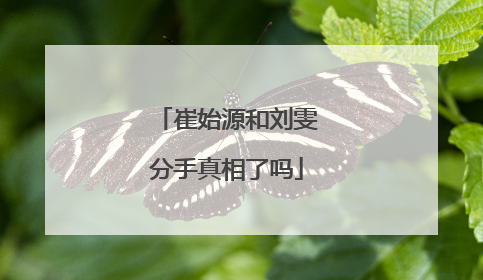 崔始源和刘雯分手真相了吗