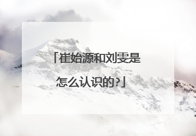 崔始源和刘雯是怎么认识的?