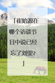 崔始源在哪个访谈节目中说已经忘了刘雯?