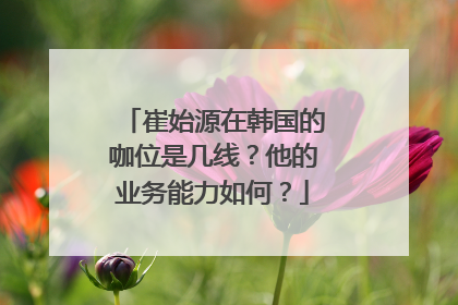 崔始源在韩国的咖位是几线?他的业务能力如何?