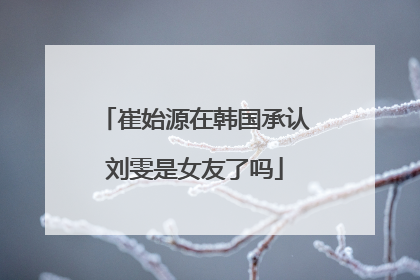 崔始源在韩国承认刘雯是女友了吗
