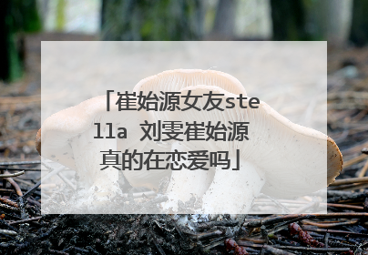 崔始源女友stella 刘雯崔始源真的在恋爱吗