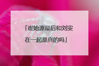 崔始源最后和刘雯在一起是真的吗