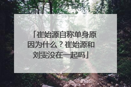 崔始源自称单身原因为什么？崔始源和刘雯没在一起吗