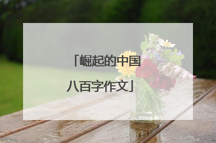 崛起的中国八百字作文
