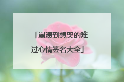 崩溃到想哭的难过心情签名大全