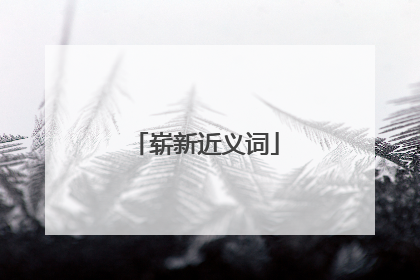 崭新近义词