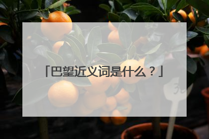 巴望近义词是什么？