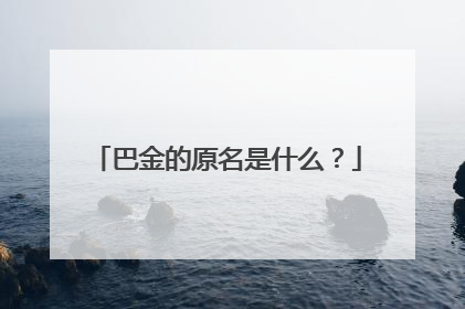 巴金的原名是什么?