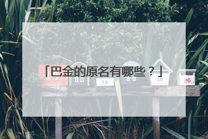 巴金的原名有哪些?