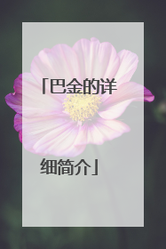 巴金的详细简介