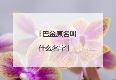 巴金原名叫什么名字