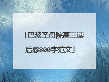 巴黎圣母院高三读后感800字范文