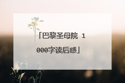 巴黎圣母院 1000字读后感