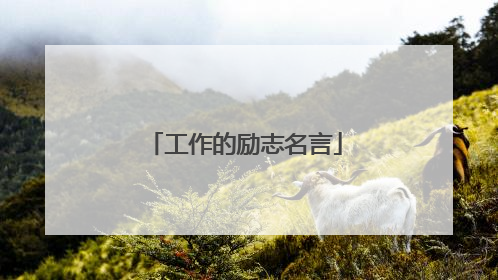 工作的励志名言