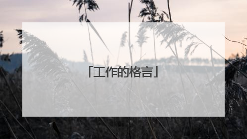 工作的格言