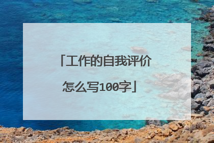 工作的自我评价怎么写100字