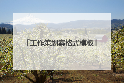 工作策划案格式模板