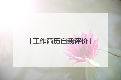 工作简历自我评价