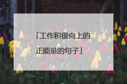 工作积极向上的正能量的句子