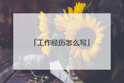 工作经历怎么写