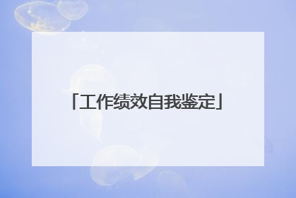 工作绩效自我鉴定