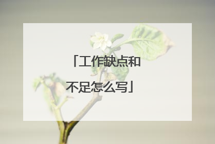 工作缺点和不足怎么写