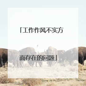 工作作风不实方面存在的问题