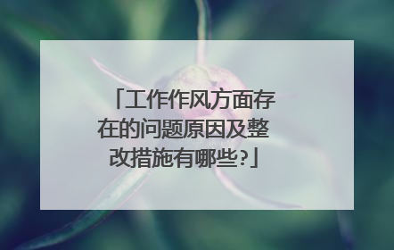 工作作风方面存在的问题原因及整改措施有哪些?