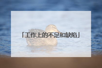 工作上的不足和缺陷