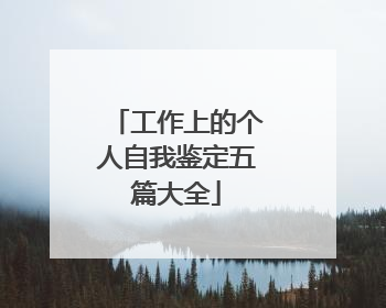 工作上的个人自我鉴定五篇大全