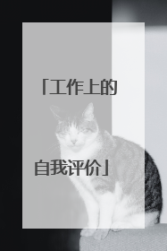工作上的自我评价