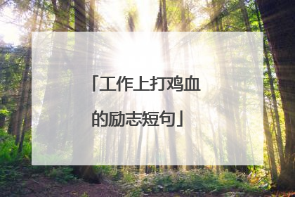 工作上打鸡血的励志短句
