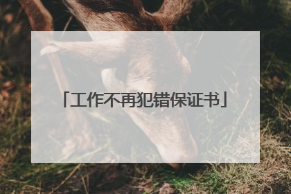 工作不再犯错保证书