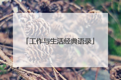 工作与生活经典语录