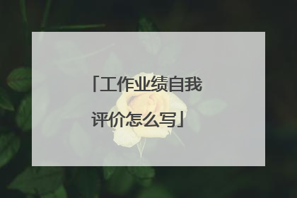 工作业绩自我评价怎么写