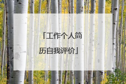 工作个人简历自我评价