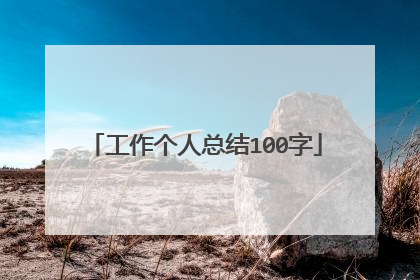 工作个人总结100字